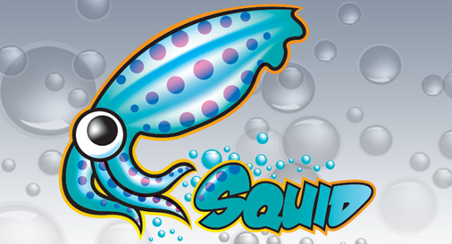 關(guān)于linux中Squid代理服務(wù)器的10個實用面試問答
