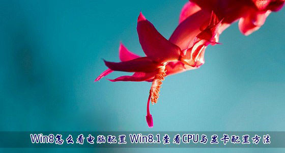 Win8系統(tǒng)中怎么看電腦配置情況？Win8.1查看CPU與顯卡配置方法介紹