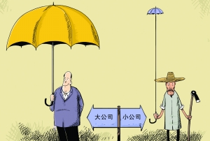 大公司？小公司？我的經歷和建議